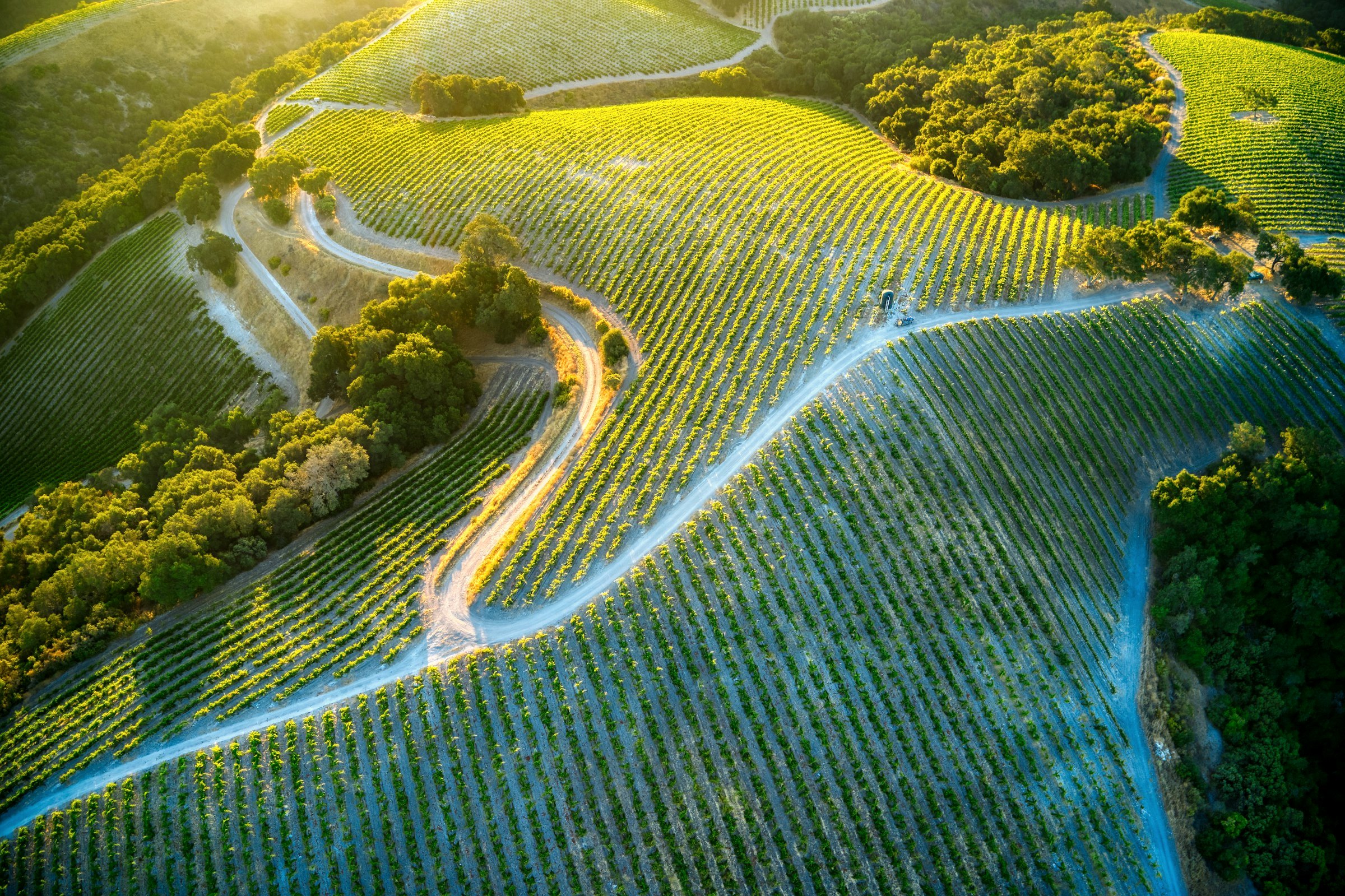 Paso Robles wine country